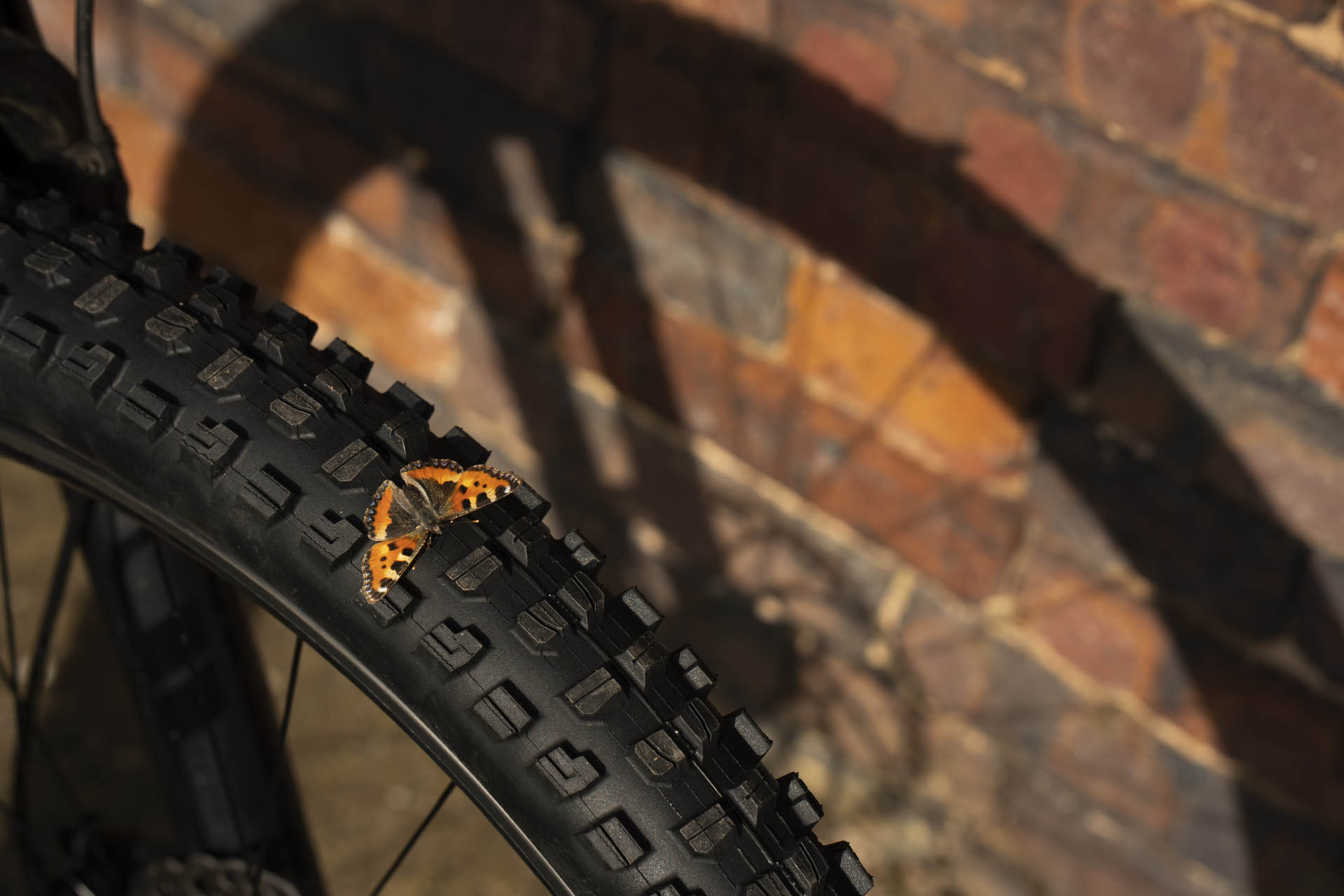 Piepumpēt riepu, spiediens riepā